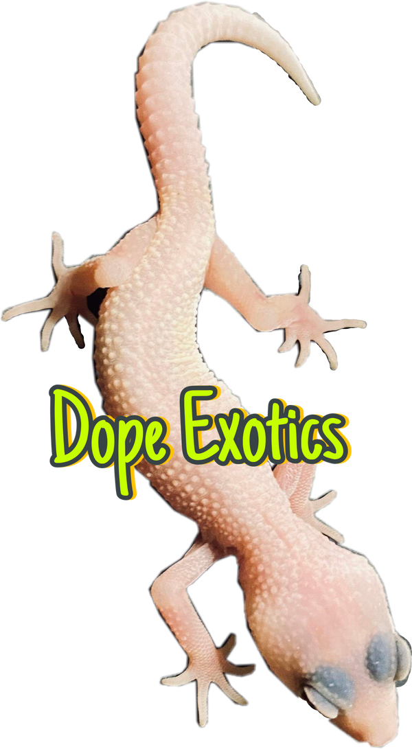 Dope Exotics